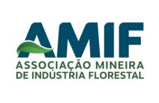 AMIF