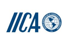 IICA