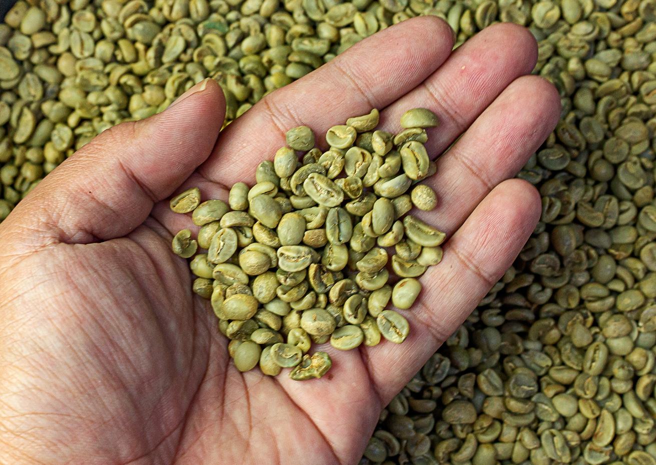 Nova COB: modernizar a classificação sem desvalorizar quem produz
